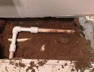 鄂温克测漏水哪家好