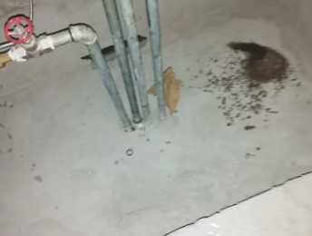 鄂温克卫生间测漏水价格明细