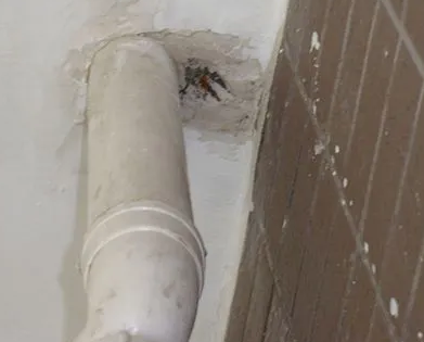 鄂温克漏水检测哪家好